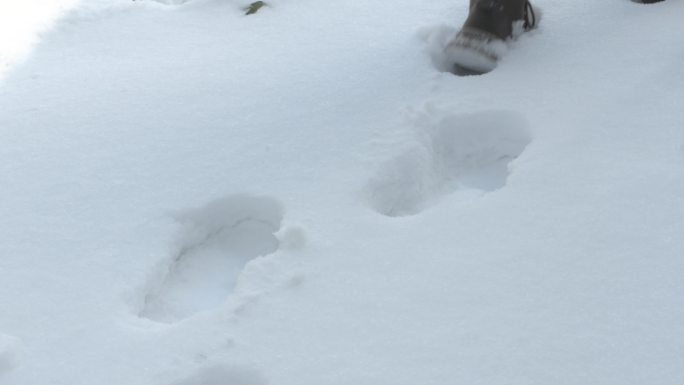 在雪地里行走