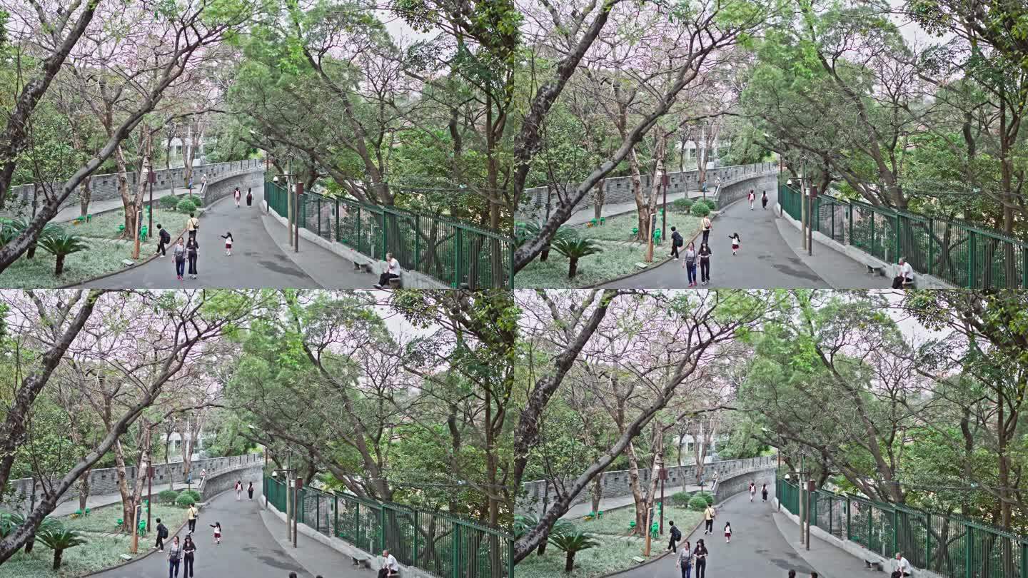 4K实拍，广州越秀公园旧城墙下游人在游览