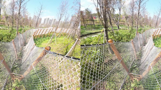 步行丛林网绳桥3D立体视频（左右格式）