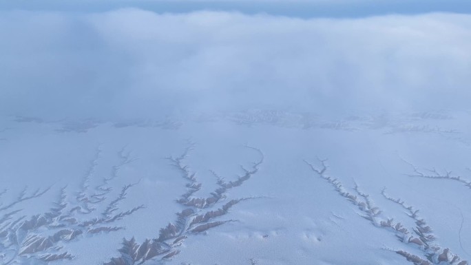 沙漠 雪景（自然奇观酷似虬枝  树枝）