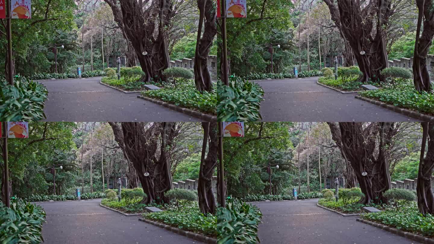 4K实拍，广州春节越秀公园越秀山下山的路