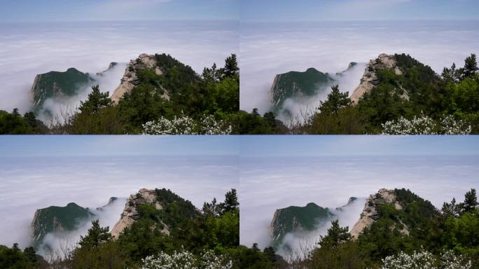 陕西旅游地标华山景区苍龙岭云海山峰