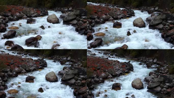 高原溪流清澈的高山融水