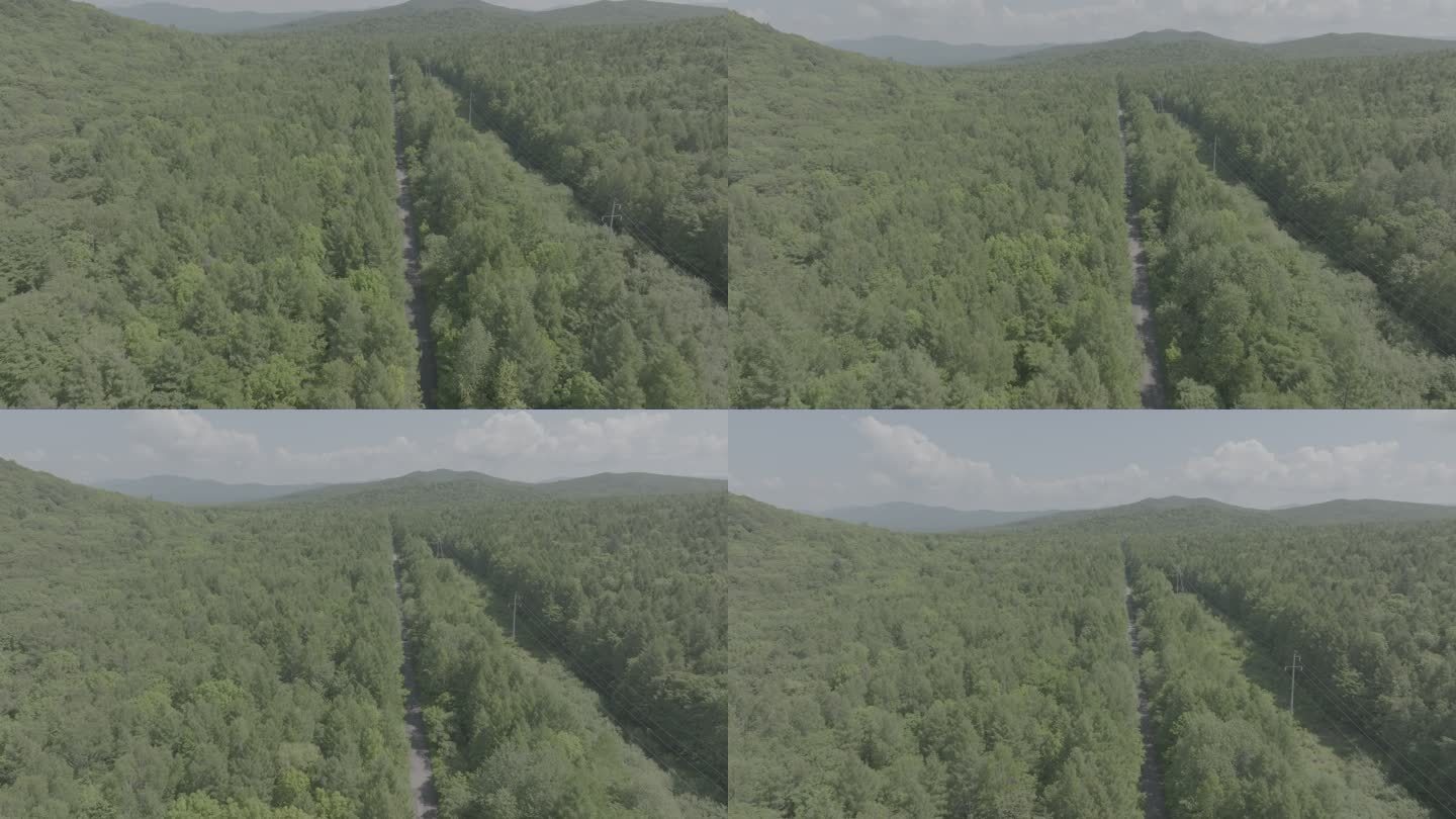 伊春市小兴安岭的森林4K航拍log素材