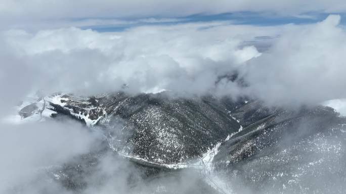 航拍高原雪山云海穿云美景