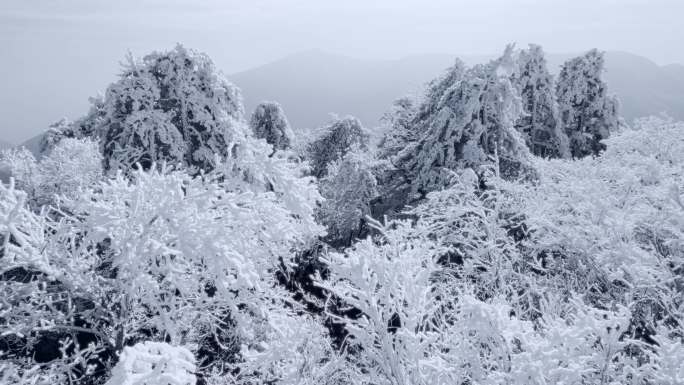 4K航拍天目山脉龙王山雾凇雪景风光