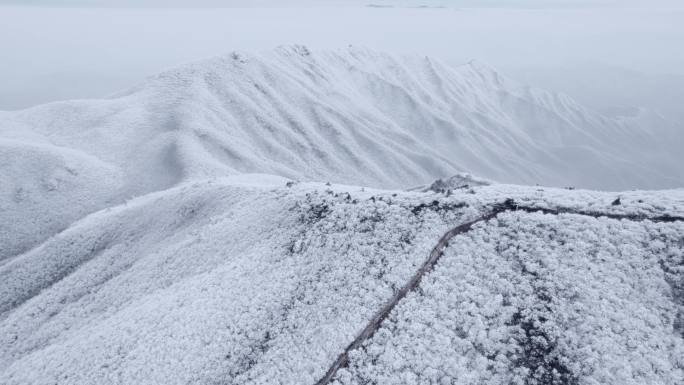 4K航拍天目山脉龙王山雾凇雪景风光