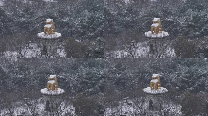 西安地标2024大唐芙蓉园龙年灯会雪景