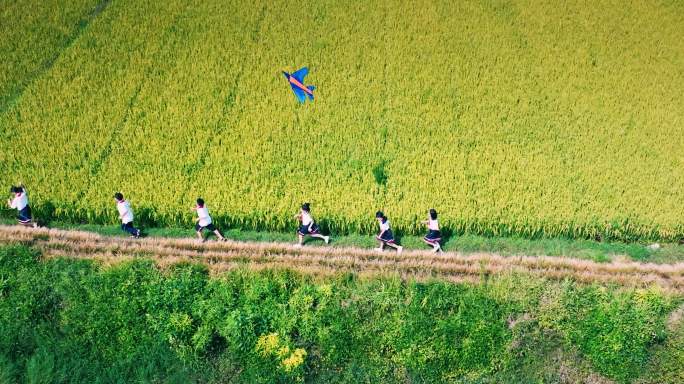 4K田野奔跑放风筝的小学生升格