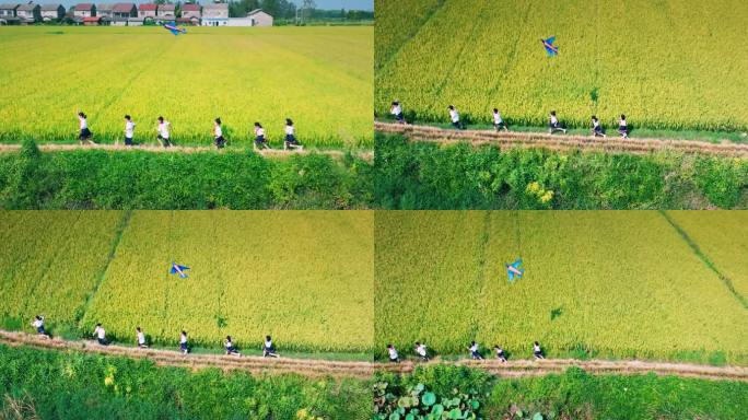 4K田野奔跑放风筝的小学生升格