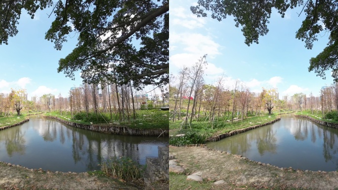 8K春天树下的河边3D实拍素材
