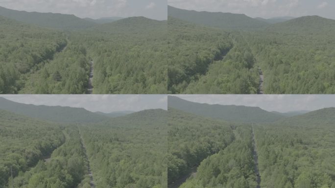 伊春市小兴安岭的森林4K航拍log素材