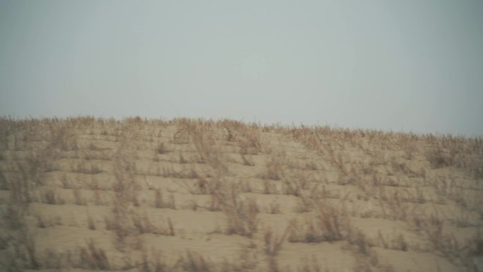 汽车窗外沙漠风景速度感快速移动模糊的荒漠