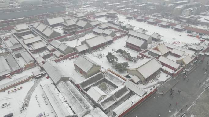 沈阳故宫雪景4k素材