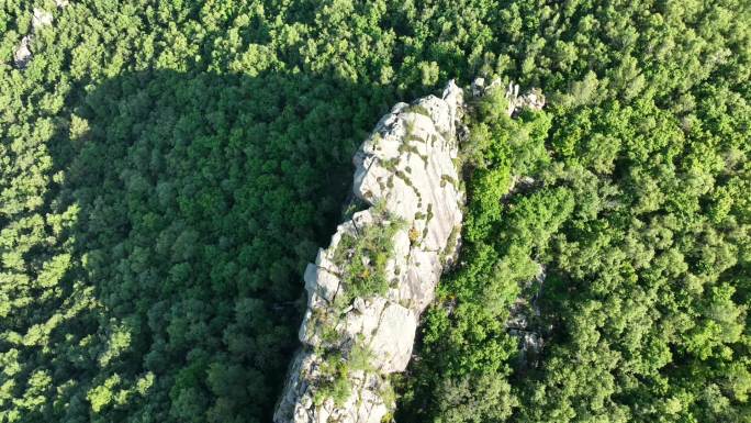 高山森林岩石山石石砬子