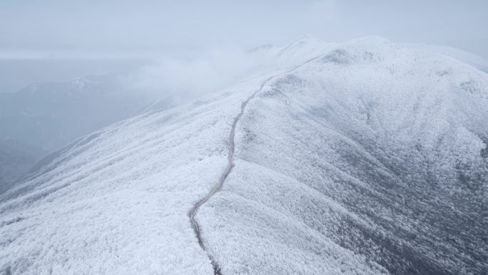 4K航拍天目山脉龙王山雾凇雪景风光