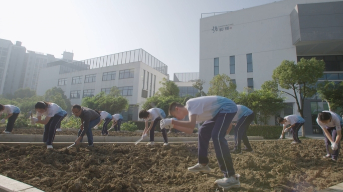 学校校园耕田  学生农田，学生耕种 田园