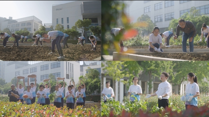 学校校园耕田  学生农田，学生耕种 田园