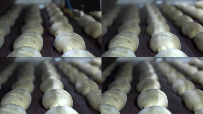 新鲜的面包面团进入工业面包烘烤隧道烤箱