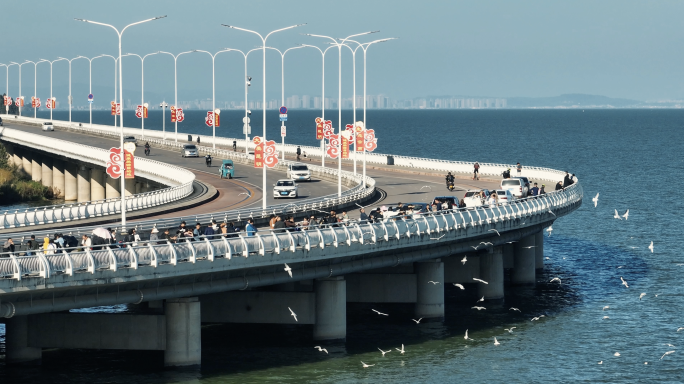 昆明滇池环湖路喂海鸥航拍