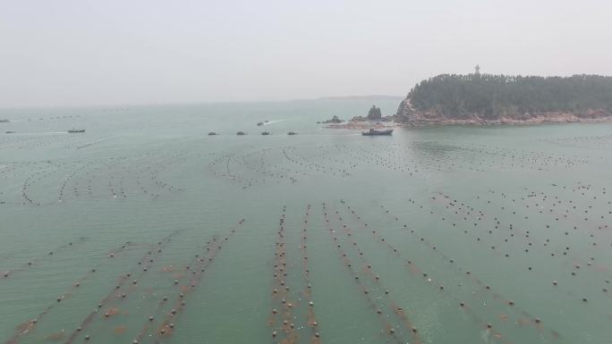 渔船收海带 俯拍 养殖场 海边航拍4K
