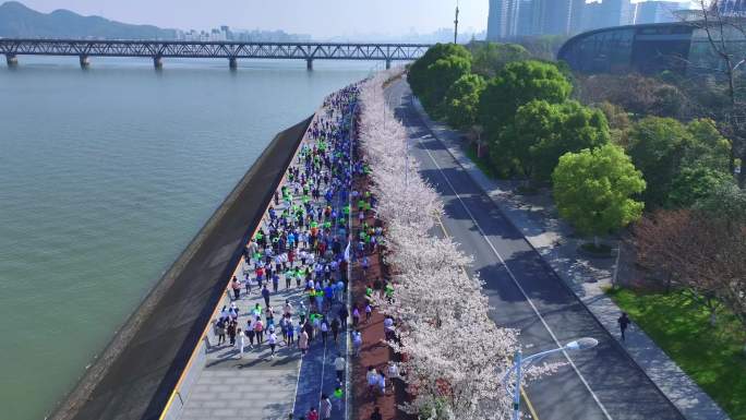 杭州滨江樱花跑道