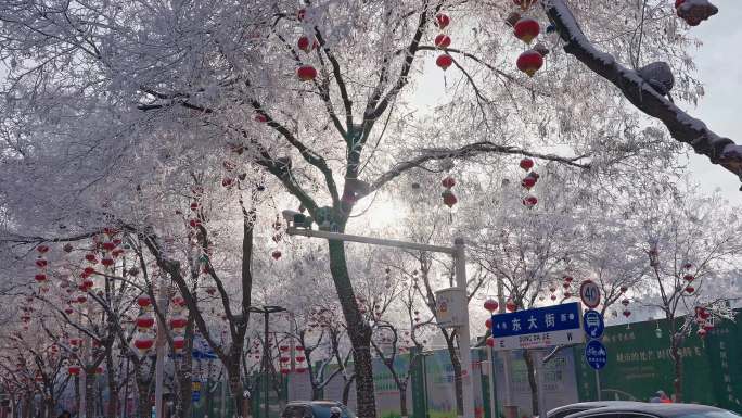 冬天下雪树枝雾凇蓝天飞花唯美街景