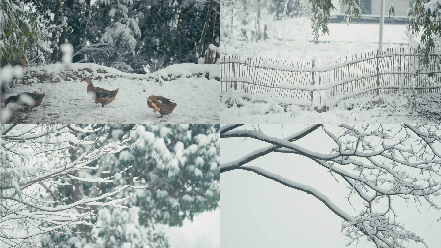 乡村冬天下雪实拍视频合集