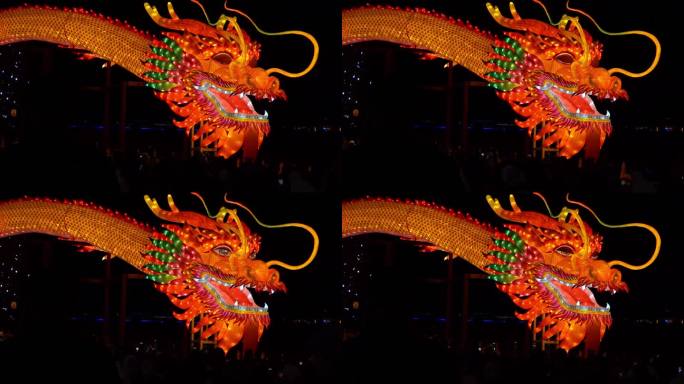 北京什刹海荷花市场元宵节灯会传统文化龙年