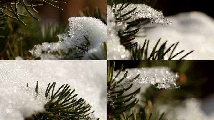 春天，雪开始融化