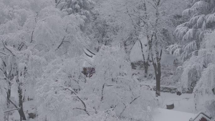 西安秦岭雪景翠华山