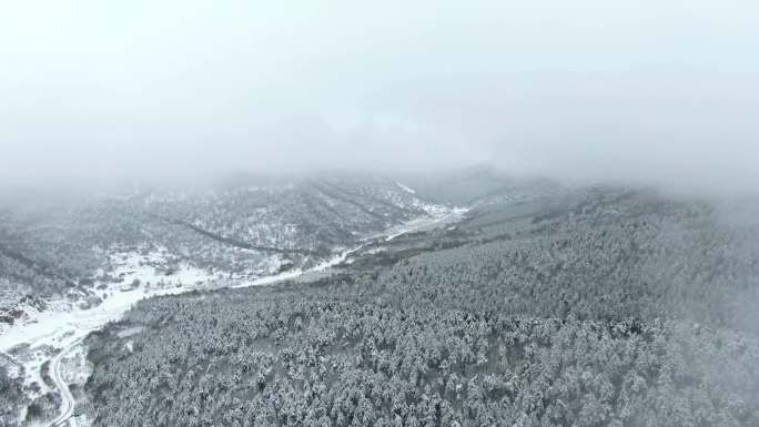 大雪封山