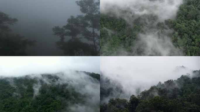 高黎贡 德宏保山 云雾 夏季 航拍 延时