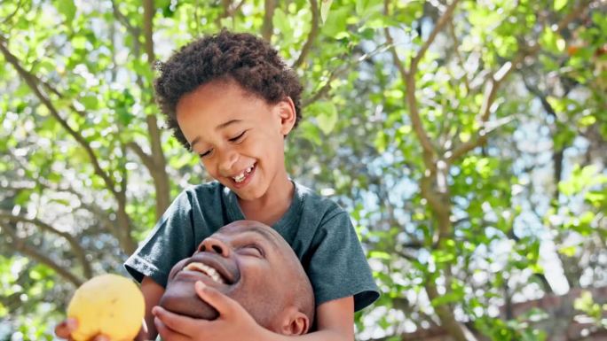 快乐的父亲，快乐的孩子，快乐的果园里的果树，为了营养，为了健康，为了阳光或夏天的欢笑。黑人家庭，父母