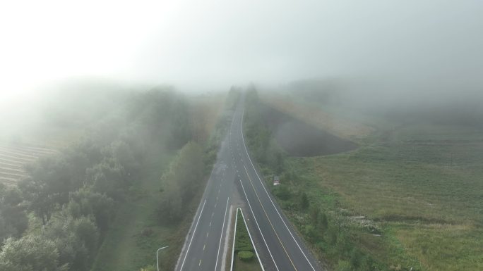 道路汽车浓雾天气