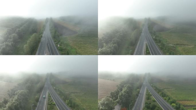 道路汽车浓雾天气