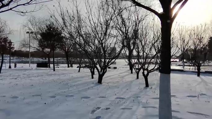 公园日落雪景逆光视频素材