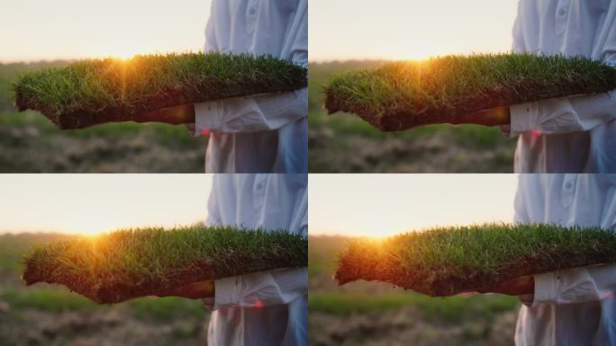 一个穿白衣的人拿着一块长着绿草的土壤。生态和尊重自然的理念
