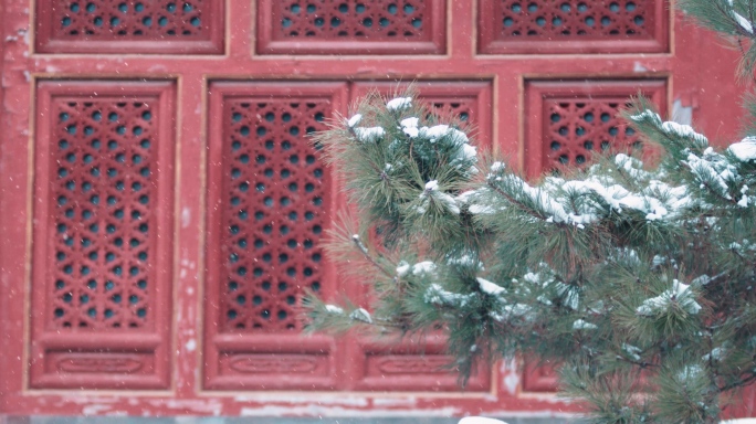 唐苑古风禅意下雪屋檐倒影雪景古建中式园林