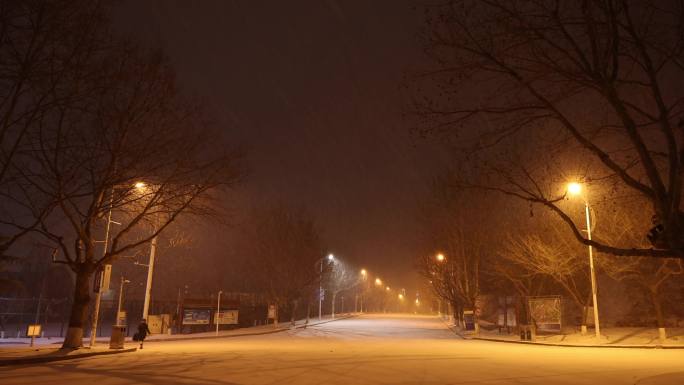 城市唯美雪景 冬季夜晚下雪 飘雪 4K