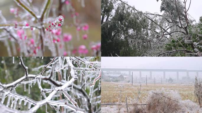 高清实拍冰天雪地的冻雨严寒天气