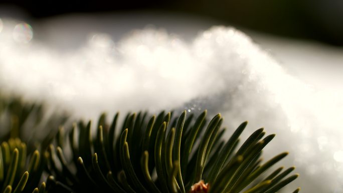 春天，雪融化