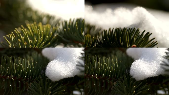 春天，雪融化