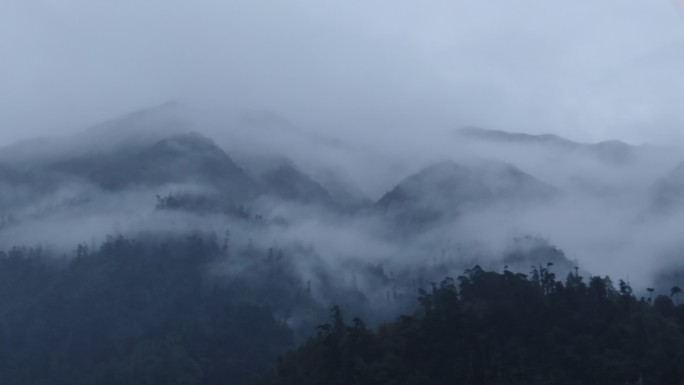 烟雨江南 水墨 水汽通道