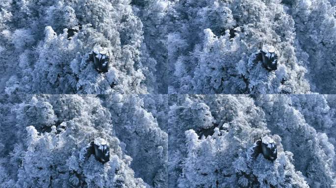 临安大明山雪景