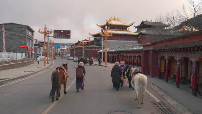 318川西 川藏线 自然景观 雪山 藏民