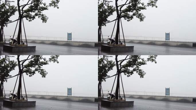 傍晚杭州钱塘江江东大桥下暴雨视频素材