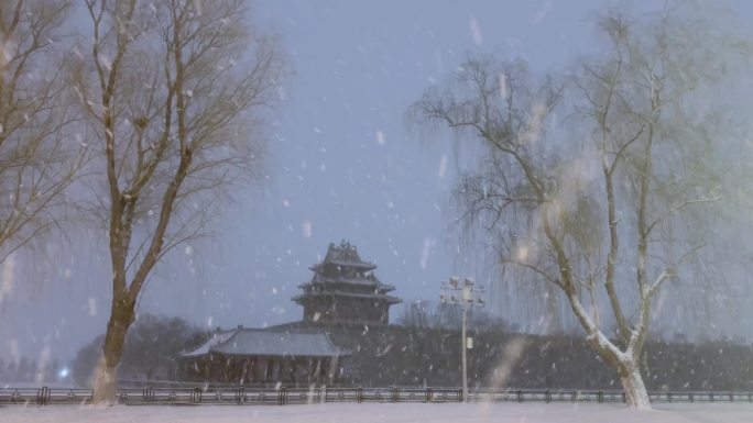 北京瑞雪高清视频