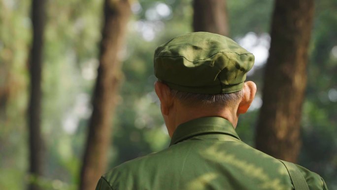 阳光下男人行走在树林背影