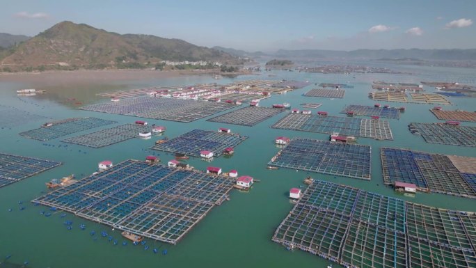 无人机航拍的中国福建省下浦海鱼养殖场网箱和渔村。